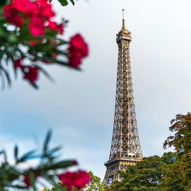 Paris, l’esprit du look Velours Couture