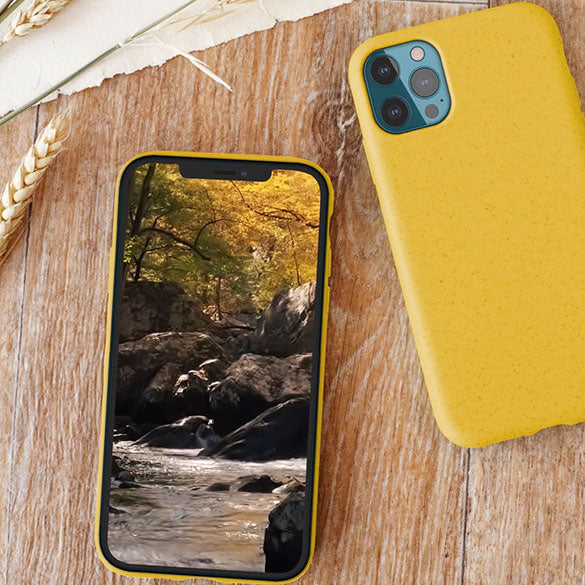 Video pour collection