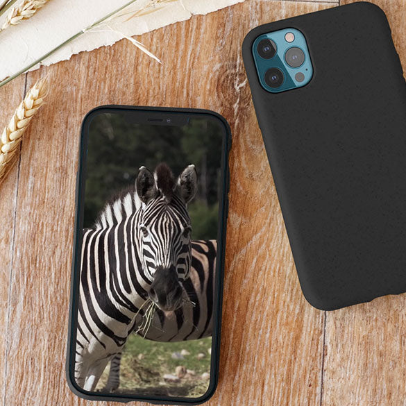 Video pour collection