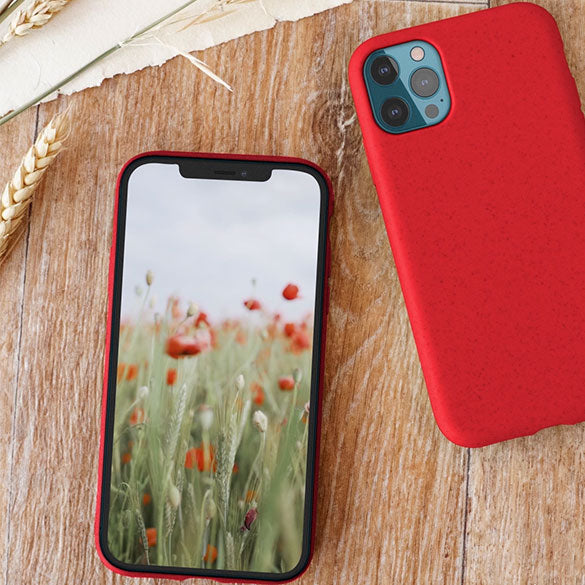 Video pour collection